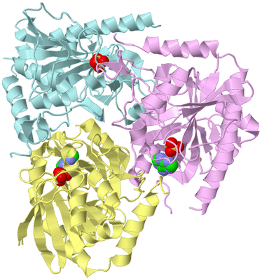 Image Biological Unit 2