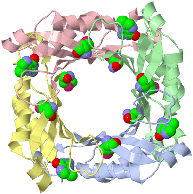 Image Biological Unit 1