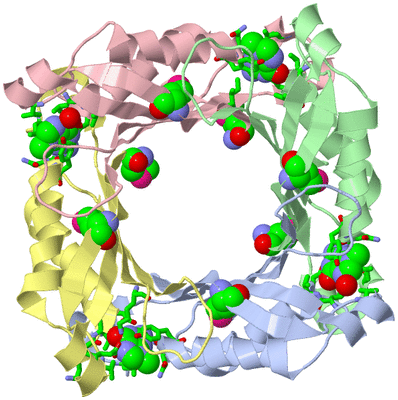 Image Biol. Unit 1 - sites