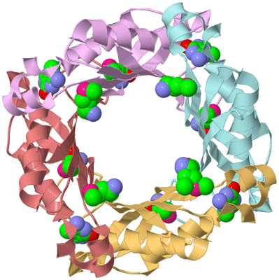 Image Biological Unit 2