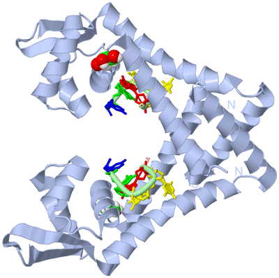 Image Biological Unit 1