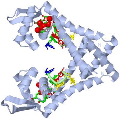 Image Biol. Unit 1 - sites