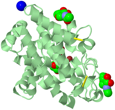 Image Biological Unit 2