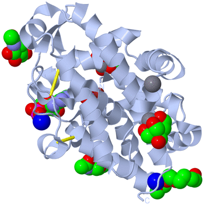 Image Biological Unit 1