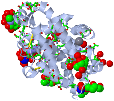 Image Biol. Unit 1 - sites