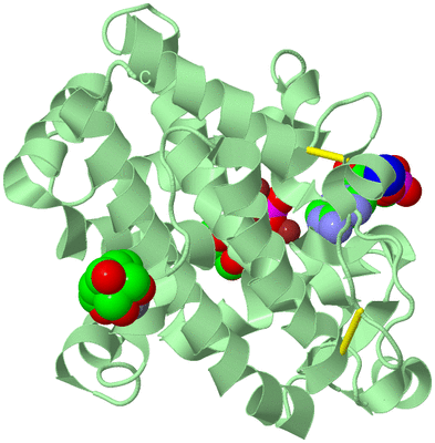 Image Biological Unit 2