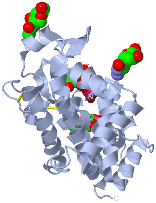 Image Biological Unit 1