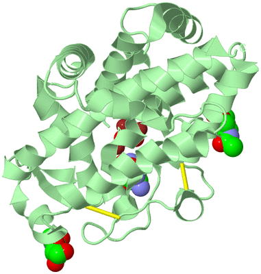 Image Biological Unit 2