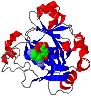 Image Asym./Biol. Unit