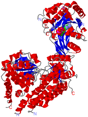 Image Asym./Biol. Unit