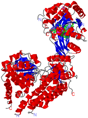 Image Asym./Biol. Unit - sites