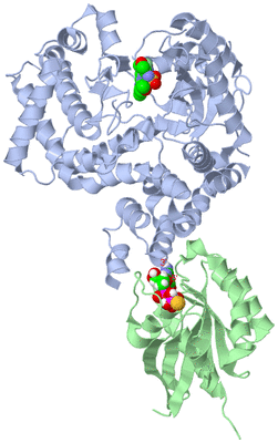 Image Asym./Biol. Unit