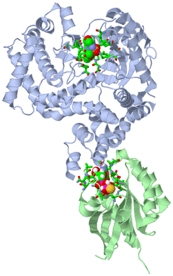 Image Asym./Biol. Unit - sites