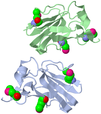 Image Asymmetric Unit