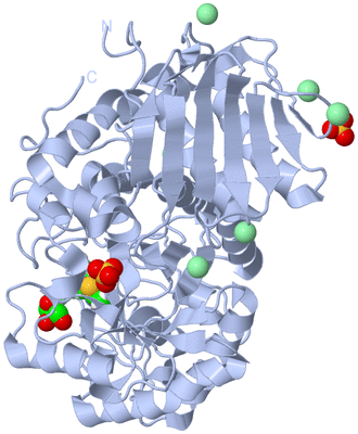 Image Biological Unit 1