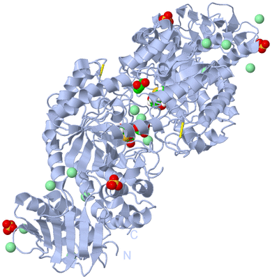 Image Biological Unit 2