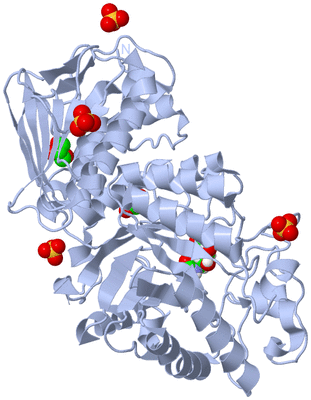 Image Biological Unit 1