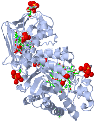 Image Biol. Unit 1 - sites