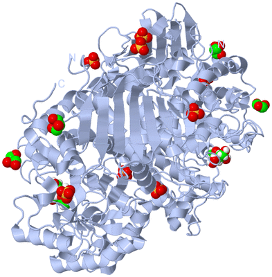 Image Biological Unit 2