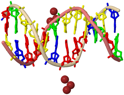 Image Biological Unit 1