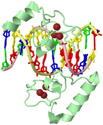 Image Biological Unit 2