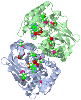 Image Asym./Biol. Unit