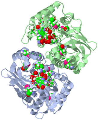 Image Asym./Biol. Unit - sites