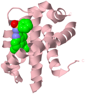 Image Biological Unit 3