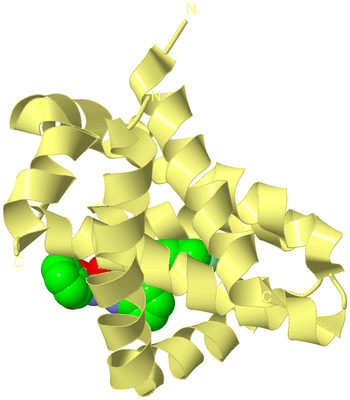 Image Biological Unit 4