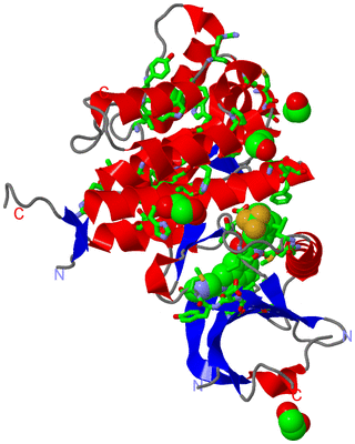 Image Asym./Biol. Unit - sites