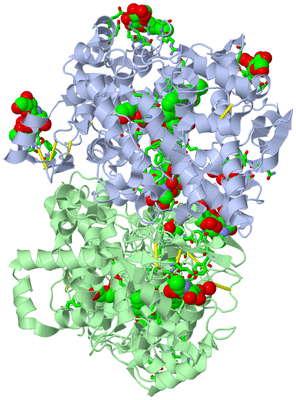 Image Asym./Biol. Unit - sites