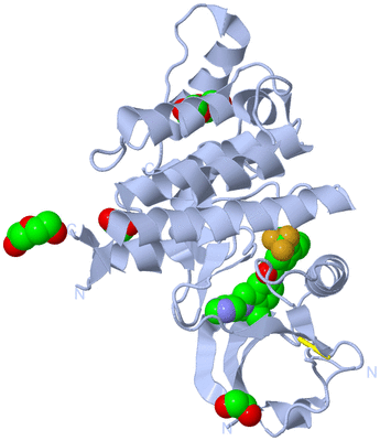 Image Biological Unit 1