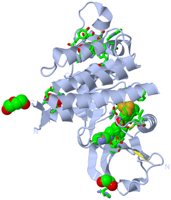 Image Biol. Unit 1 - sites