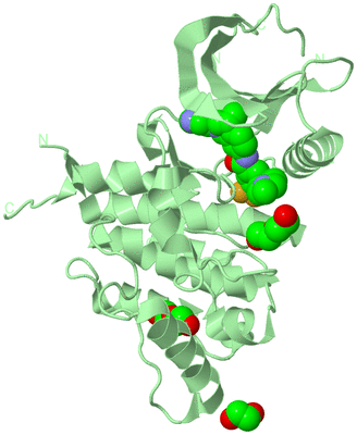 Image Biological Unit 2