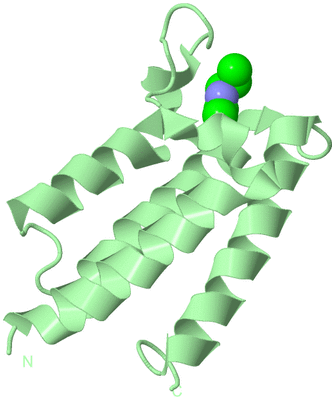 Image Biological Unit 2