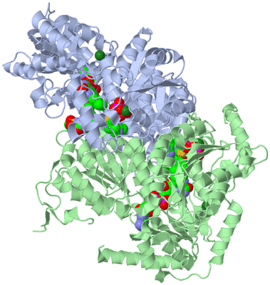 Image Asym./Biol. Unit