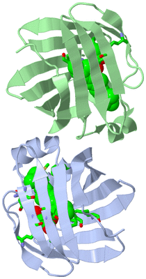 Image Asym. Unit - sites