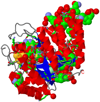 Image Asym./Biol. Unit - sites