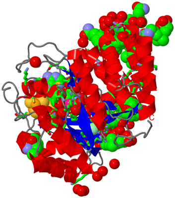 Image Asym./Biol. Unit - sites