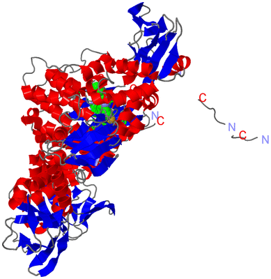 Image Asym./Biol. Unit - sites