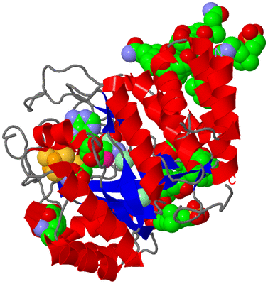 Image Asym./Biol. Unit