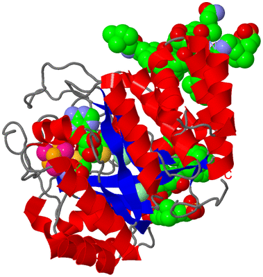 Image Asym./Biol. Unit