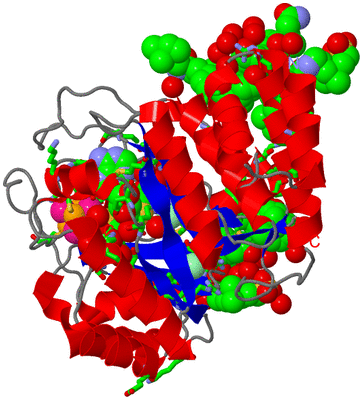 Image Asym./Biol. Unit - sites