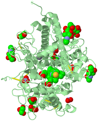 Image Biological Unit 2