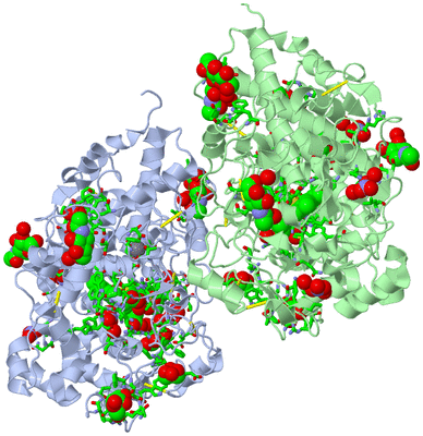 Image Asym. Unit - sites