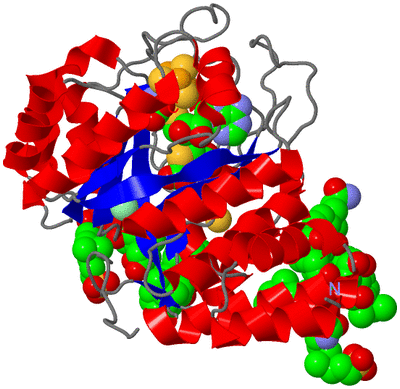 Image Asym./Biol. Unit