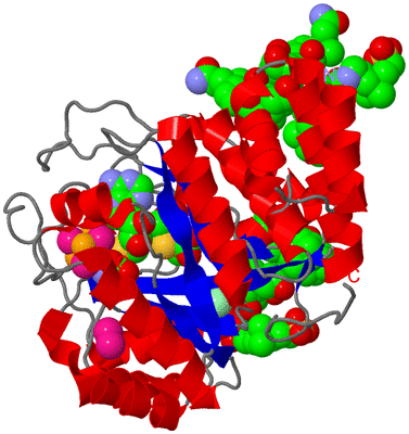 Image Asym./Biol. Unit