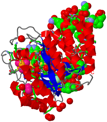 Image Asym./Biol. Unit - sites