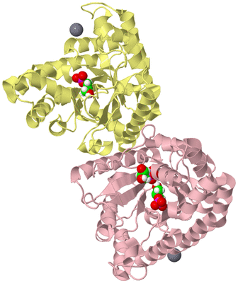 Image Biological Unit 2