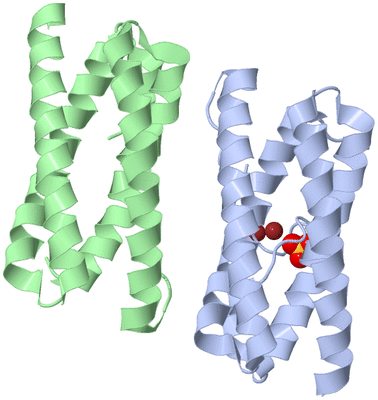 Image Asymmetric Unit